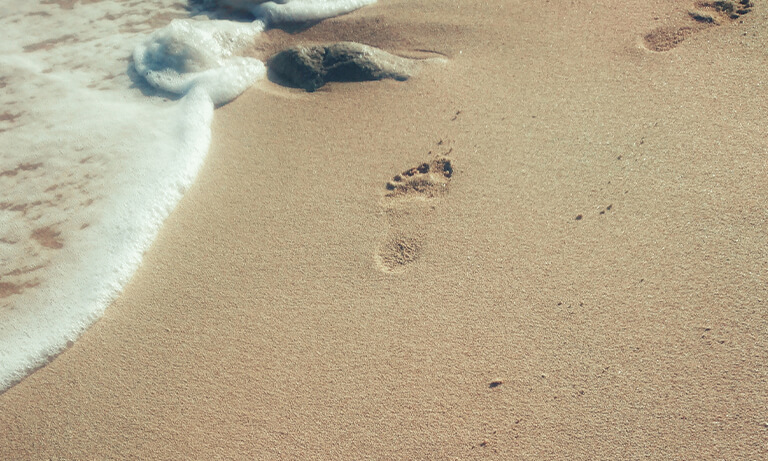 alvar-alto-museum image